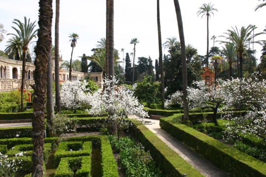 Alcázar gardens, Sevilla
