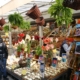 Amsterdam flower market