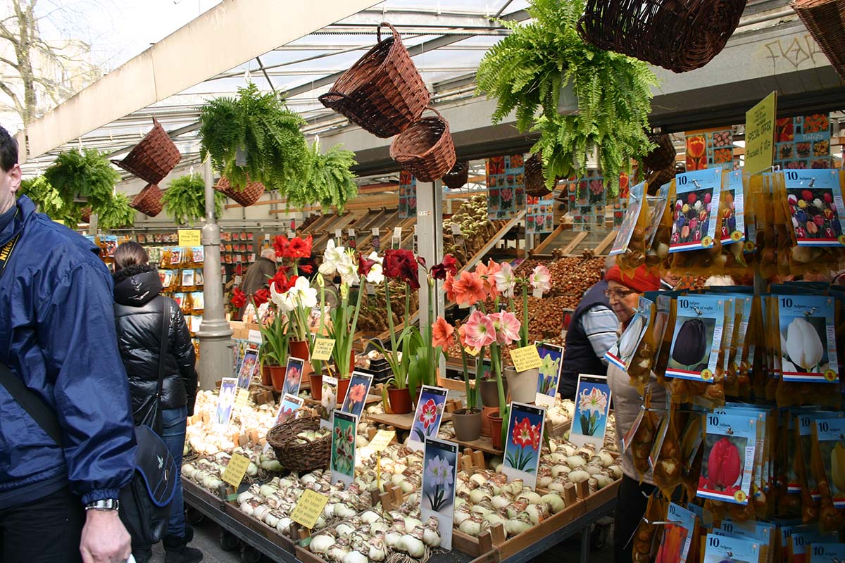 Amsterdam flower market