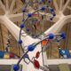 Valencia's science museum