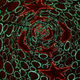 Christmas lights, Puerta del Sol, Madrid, Spain