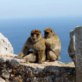 Picture-1186editblog