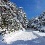 Peñalara: Madrid’s Winter Wonderland