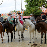 Picture-30781editblog