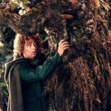 treebeard