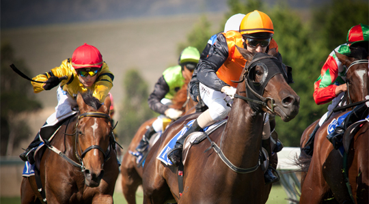 Melbourne Cup