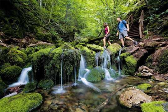 Hiking in Fundy Trail, New Brunswick, Canada