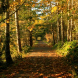 Hiking the Galloping Goose Regional Trail, British Columbia, Canada