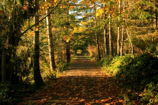 Hiking the Galloping Goose Regional Trail, British Columbia, Canada
