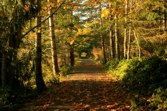 Hiking the Galloping Goose Regional Trail, British Columbia, Canada