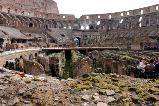 In the Colosseum