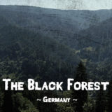 Haunted forests - The Black Forest, Baden-Württemberg, Germany