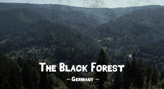 Haunted forests - The Black Forest, Baden-Württemberg, Germany