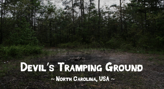 Haunted forests - Devil's Tramping Ground, North Carolina