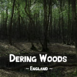 Haunted forests: Dering Woods, Pluckley, Kent, England