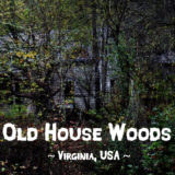 Haunted forests: Old House Woods, Mathews County, Virginia