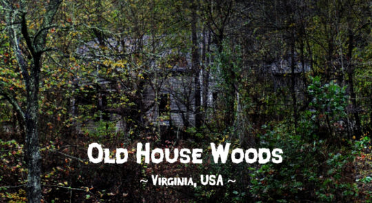 Haunted forests: Old House Woods, Mathews County, Virginia