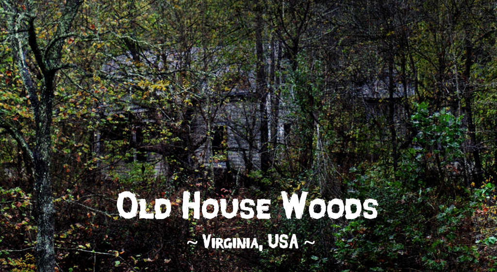 Haunted forests: Old House Woods, Mathews County, Virginia