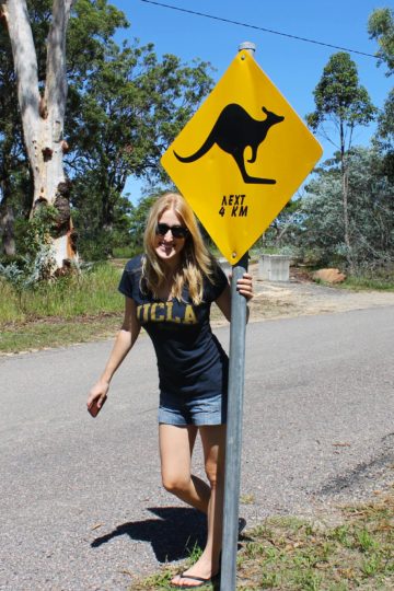 On a kangaroo quest