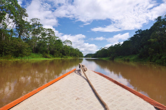 Amazon River, Peru