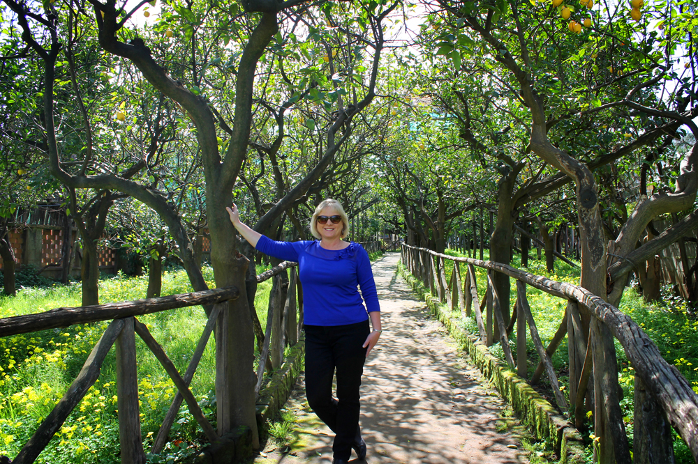 Lemon grove, Sorrento, Italy