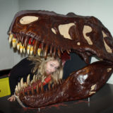 Australian Museum, Sydney