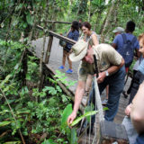 Skyrail Rainforest Cableway, Cairns, Australia