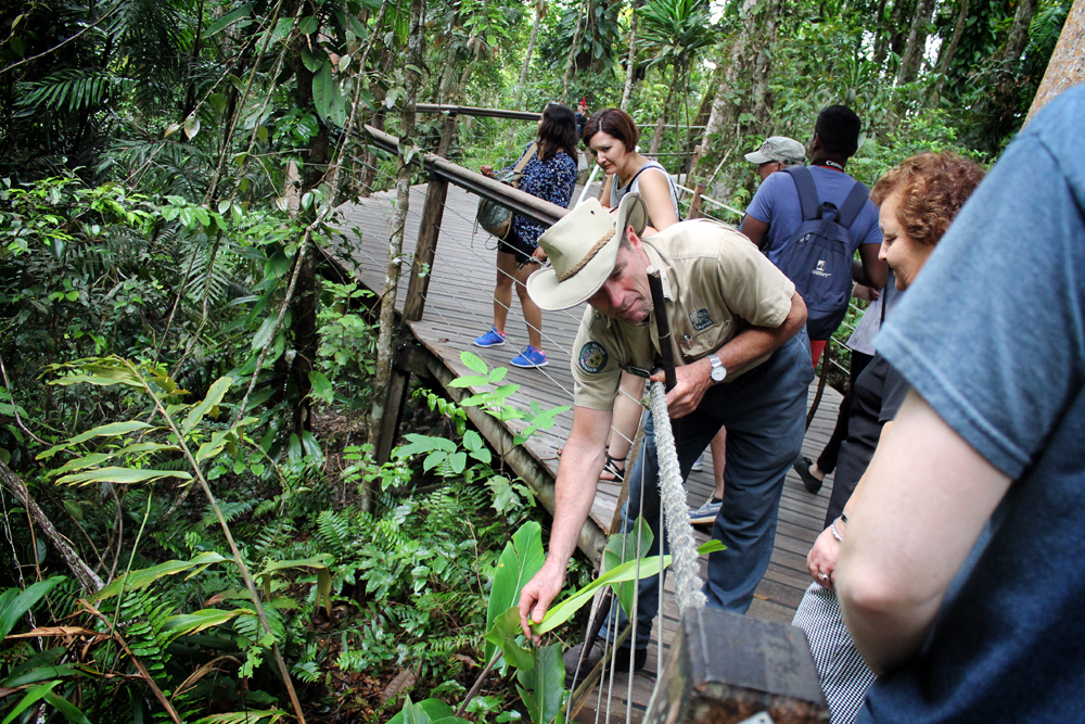 Skyrail Rainforest Cableway, Cairns, Australia