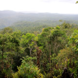 Skyrail rainforest view, Cairns, Australia