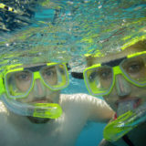 Snorkeling the Great Barrier Reef
