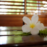 Anchorage Beach Resort, Fiji