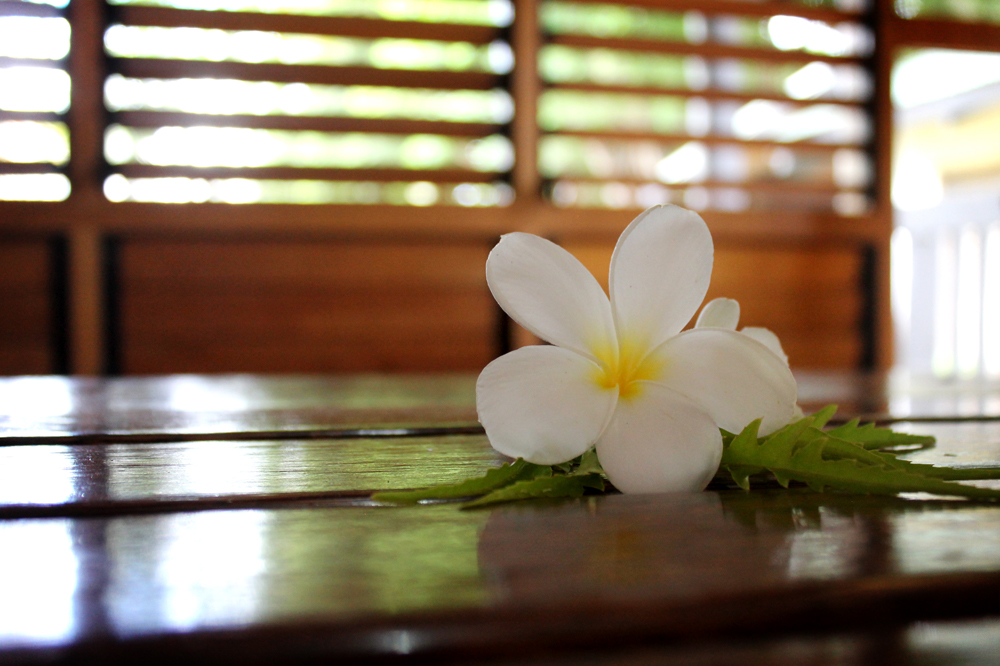 Anchorage Beach Resort, Fiji