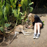 Kuranda Koala Gardens, Australia