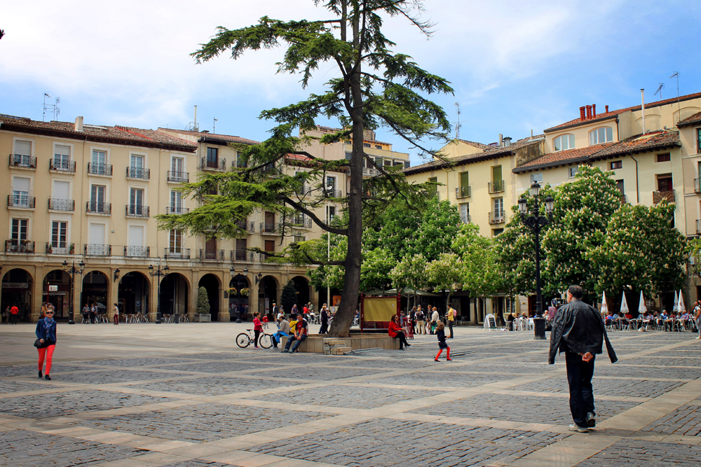 Plaza del Mercado, Logroño, La Rioja, Spain