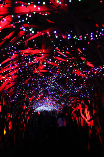 Christmas lights at the L.A. Zoo