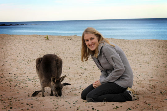 Pebby Bleach kangaroo, Australia