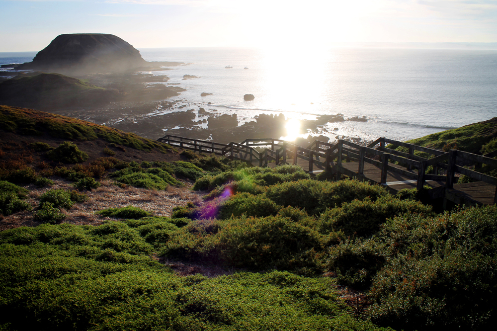 Phillip Island