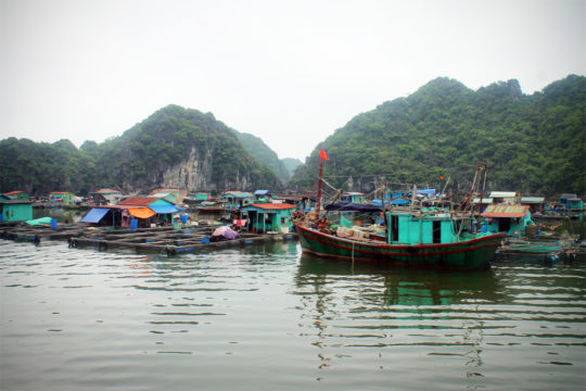 Fishing village, Halong Bay, Vietnam