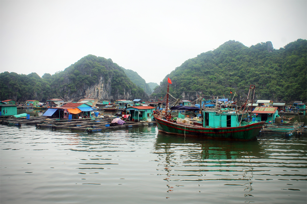 Fishing village, Halong Bay, Vietnam