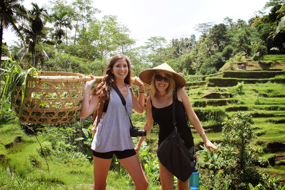 Ubud, Bali rice paddies