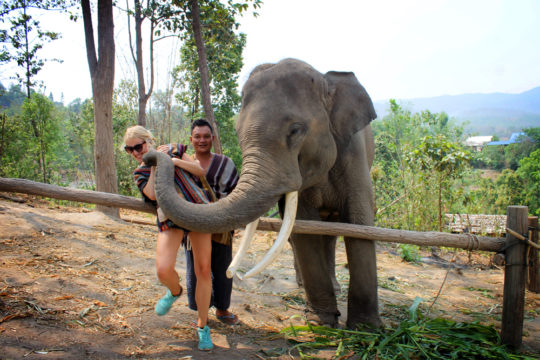 Elephant Jungle Sanctuary, Chiang Mai, Thailand