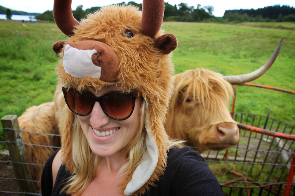 Hairy Coo Tour, Scottish Highlands