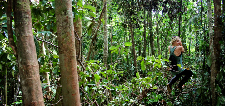 Cuyabeno Reserve, Amazon, Ecuador