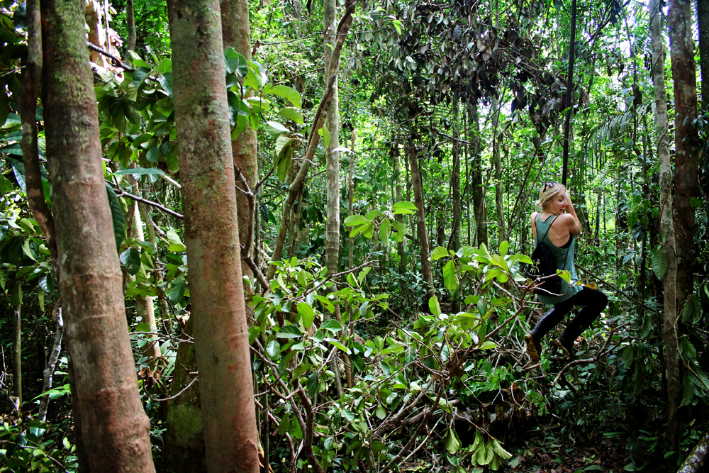 Cuyabeno Reserve, Amazon, Ecuador