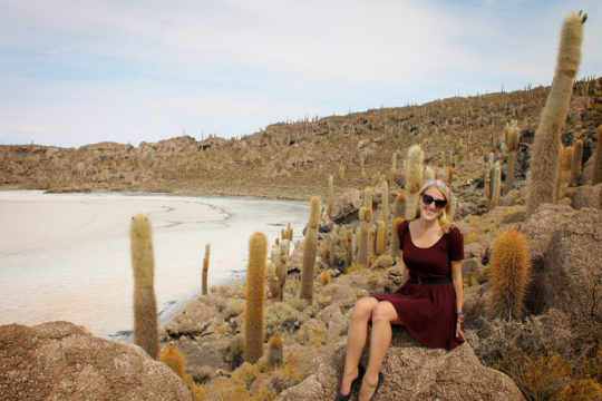 Cactus island, salt flats, Uyuni, Bolivia