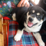 Mai Chau Valley, Vietnam