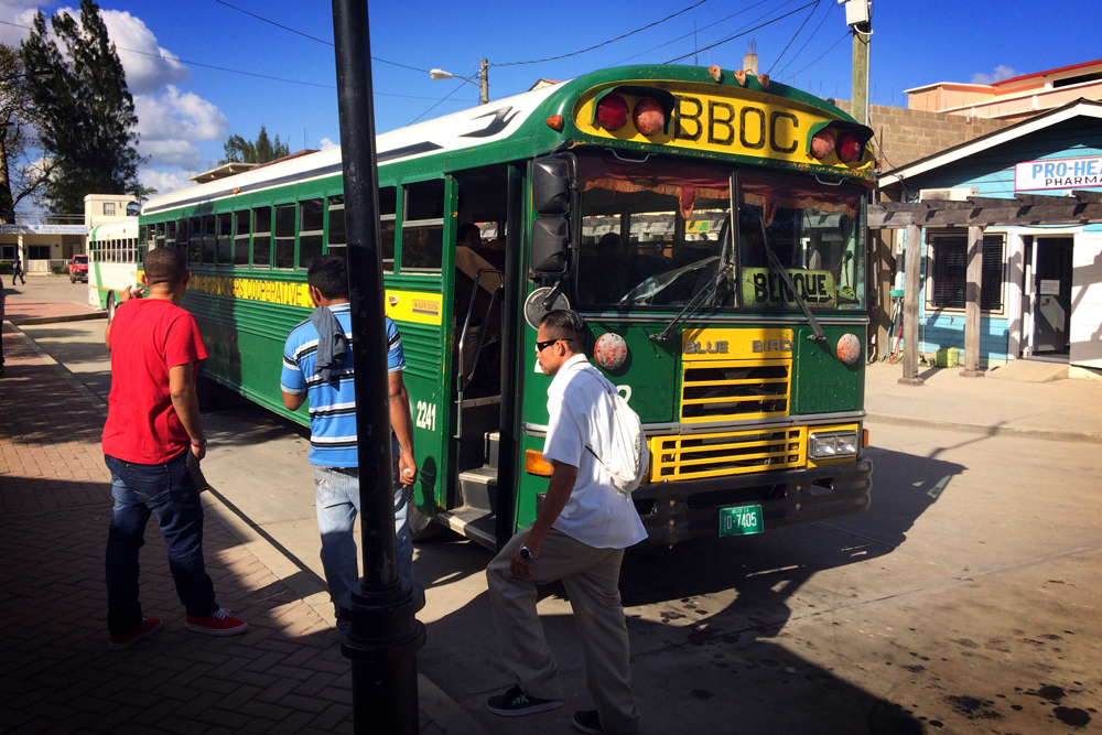 Belize chicken bus