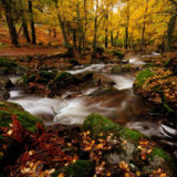 Canencia, Madrid, Spain