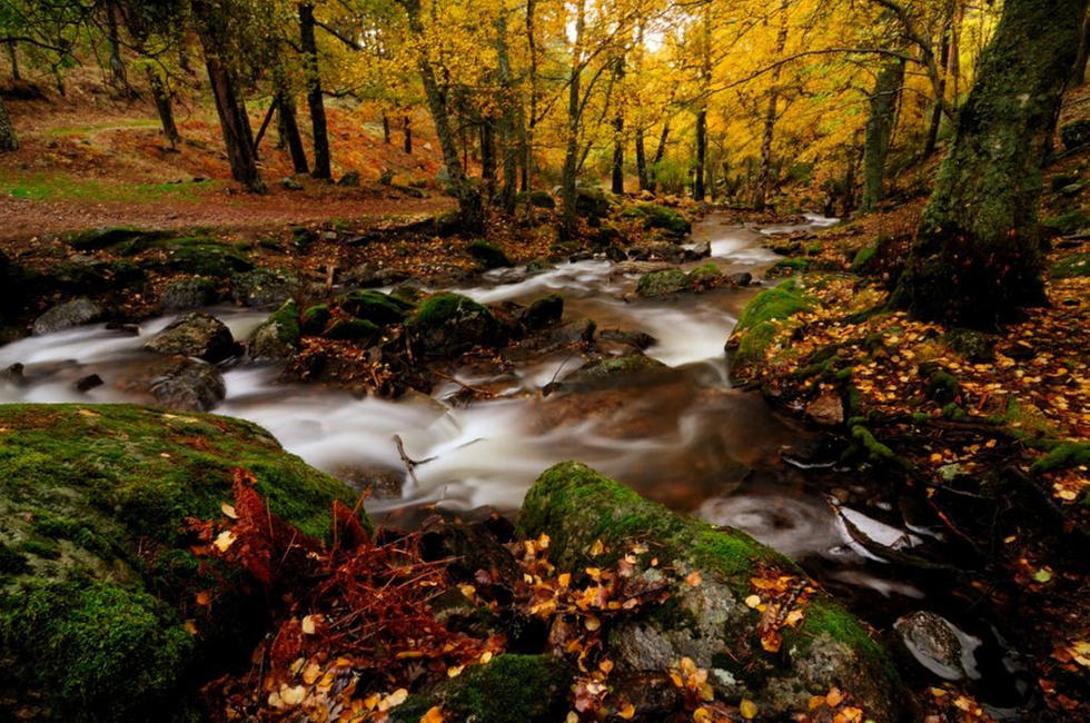 Canencia, Madrid, Spain