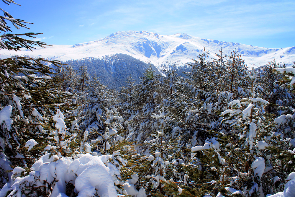 Traveling in the winter: Madrid, Spain